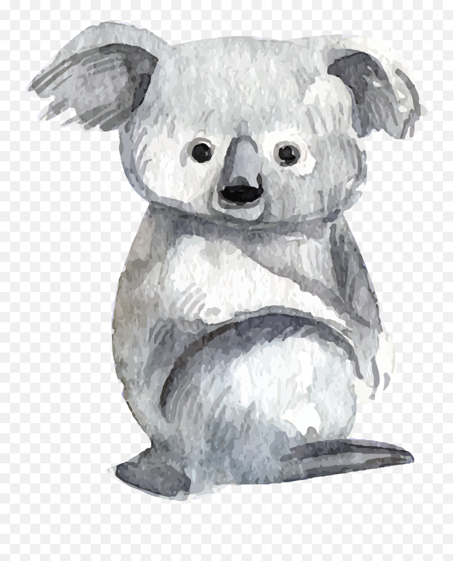 Download Hd Baby Koalas Lemur Bear Watercolor Painting - Koala Watercolour Png,Koala Transparent