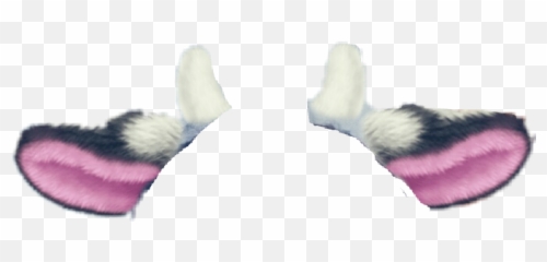 Report Abuse - Ferret Full Size Png Download Seekpng Fish,Ferret Png