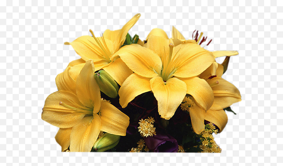Flower Png - Rg Designs Mensagem Para Quarta Feira De Cinzas,Yellow Flower Png