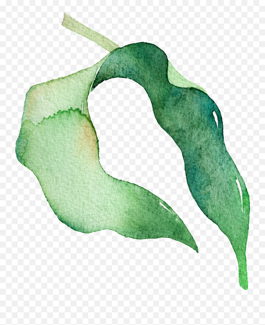 Download Hd Green Watercolor Pea Leaf Cartoon Transparent - Green Watercolor Png,Leaf Cartoon Png