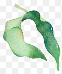 Download Hd Green Watercolor Pea Leaf Cartoon Transparent - Png