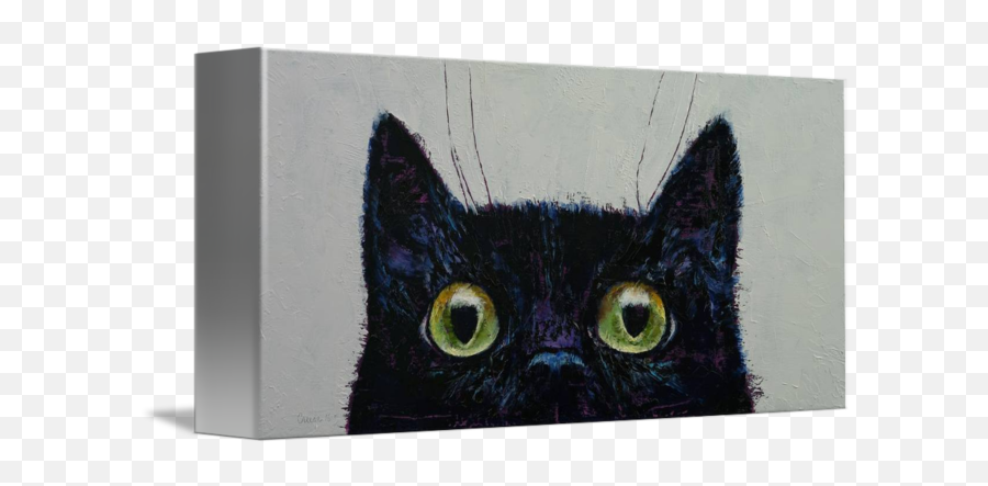 Cat Eyes - Black Cat Png,Cat Eyes Png
