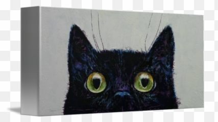Cat Eyes - Black Cat Png,Cat Eyes Png
