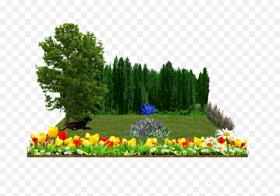 Photo Plants And Shrubs Via Hanging Garden - Psd Garden Garden Png For Photoshop,Hanging Plants Png