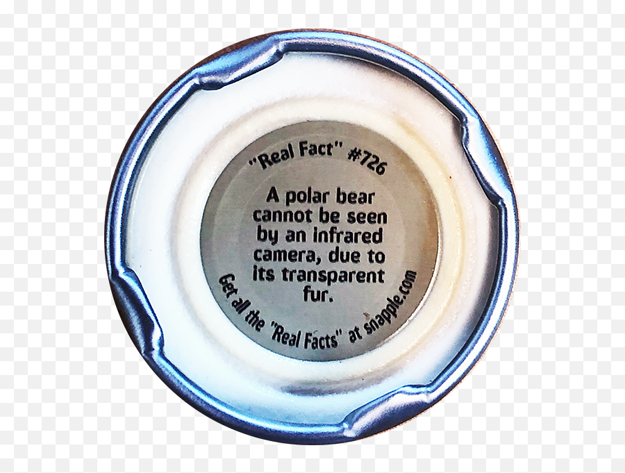 Kevinu0027s Security Scrapbook Snapple Real Fact 726 U2013 Polar - Can Polar Bears Be Seen By Infrared Cameras Png,Snapple Png