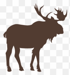 Moose Vector Graphics Royalty - Transparent Background Silhouette Free png