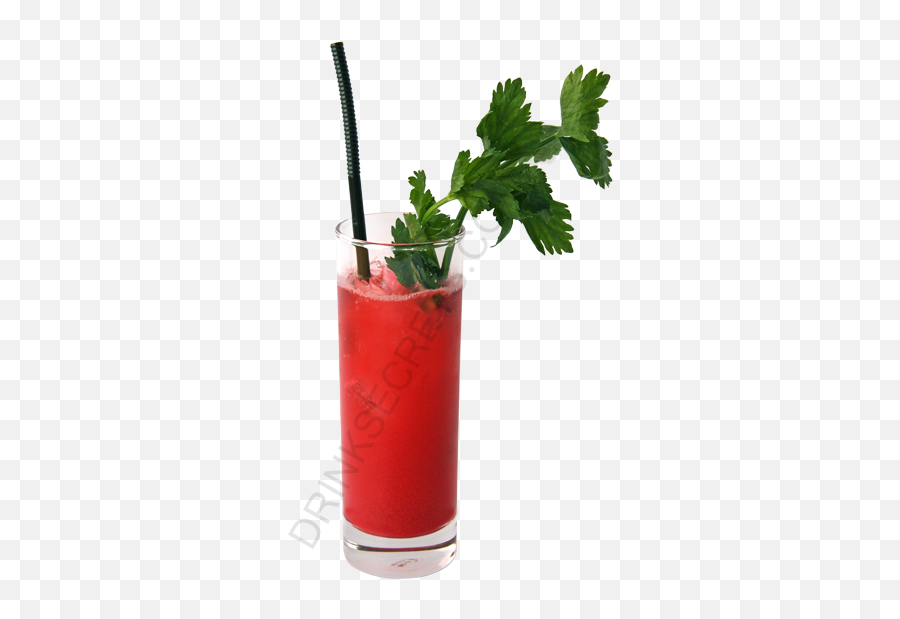 Download Hd Bloody Mary Cocktail Image - Bloody Mary Png,Bloody Mary Png