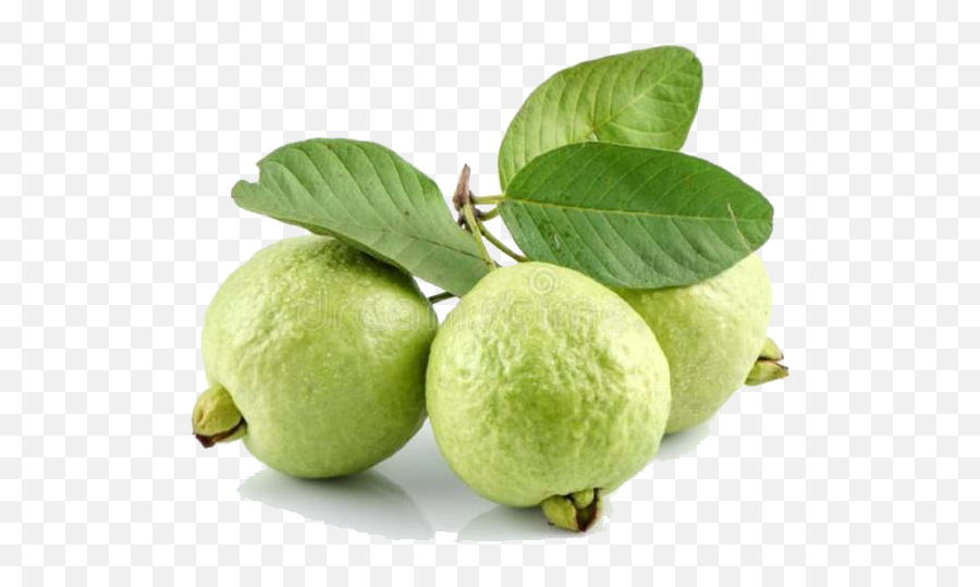 Png Guava Transparent Image Guava Fruit Images Hd Guava Png Free Transparent Png Images Pngaaa Com - guavs roblox password