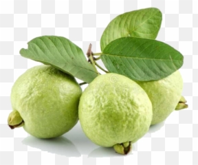 Png Guava Transparent Image - Guava Fruit Images Hd,Guava Png