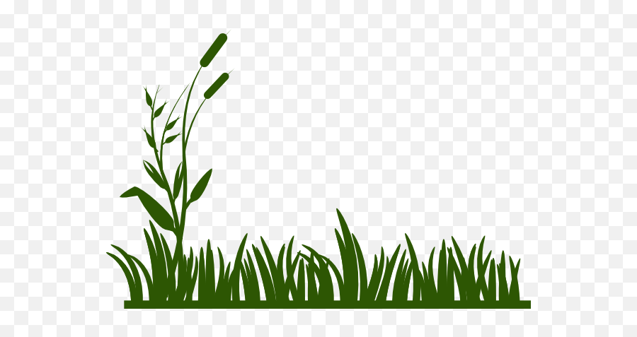 Jungle Clipart Png - Grass Drawing,Jungle Png