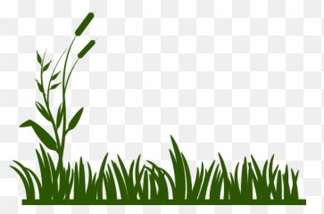 free transparent grasses png images page 9 pngaaa com pngaaa com