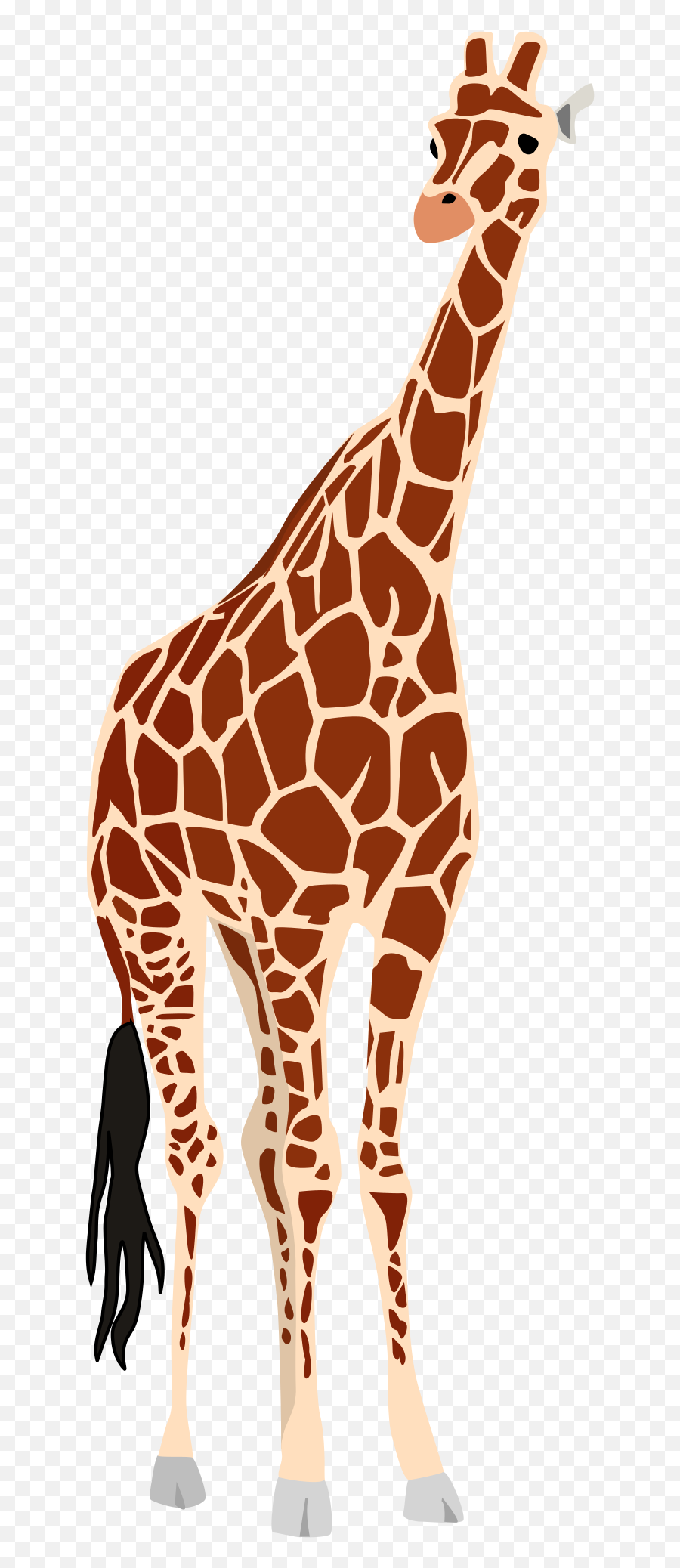 Giraffe Png Clip Arts For Web - Giraffe Vector Free,Giraffe Png