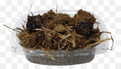Take Revenge - Anonymous Safe Fast Send Shit Composting Png,Turd Png