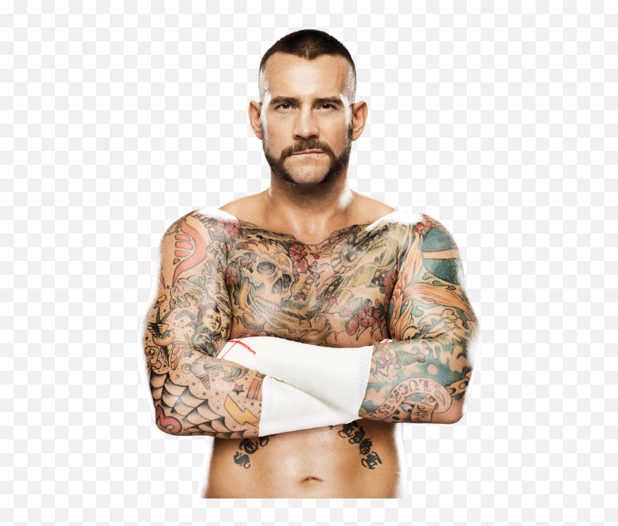 Cm Punk Pro - Austin Aries Vs Cm Punk Png,Cm Punk Png