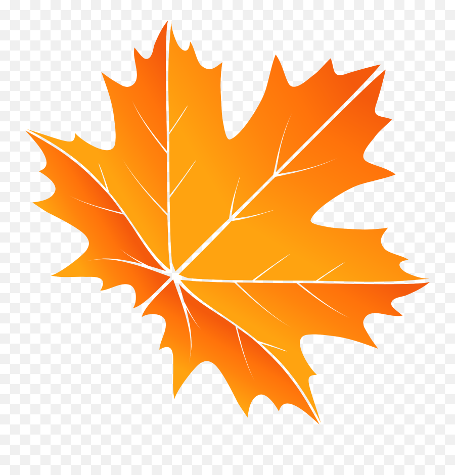 Maple Leaf Png With Transparent Background - Png Hoja De Arce,Maple Png