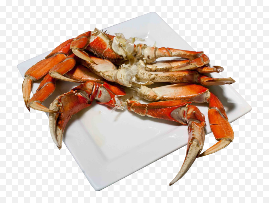 Crab Legs - Dungeness Crab Png,Crab Legs Png