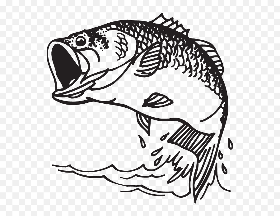 Largemouth Bass Decal Fishing - Bass Fish Coloring Pages Png,Largemouth Bass Png