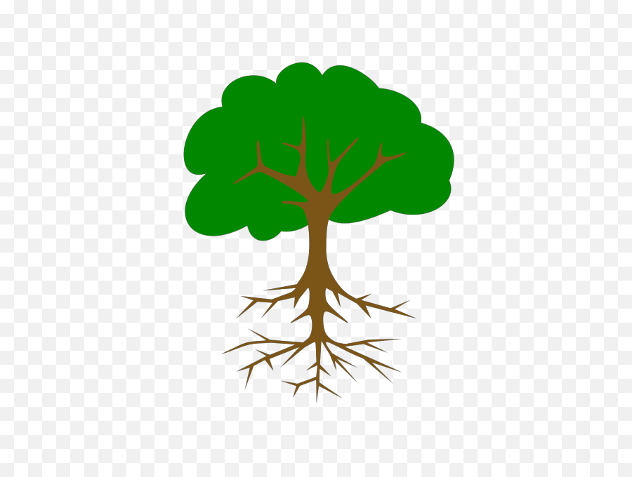 Big Tree Clipart Png - Apple Tree With Roots,Big Tree Png