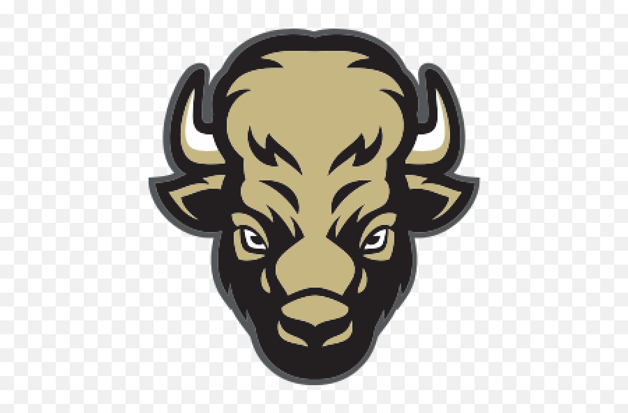 Colorado Buffaloes Wire Get The Latest University Of - Bison Head Png,Icon Alliance Lucky Helmet