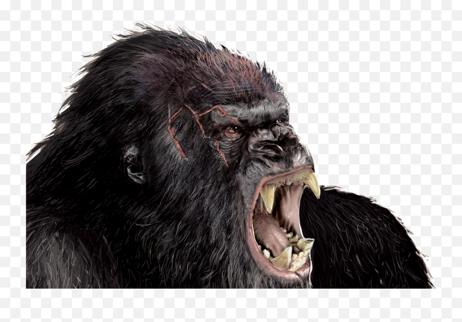 Gorilla Png Transparent Image 37886 - Free Icons And Png King Kong Background Png,Godzilla Transparent