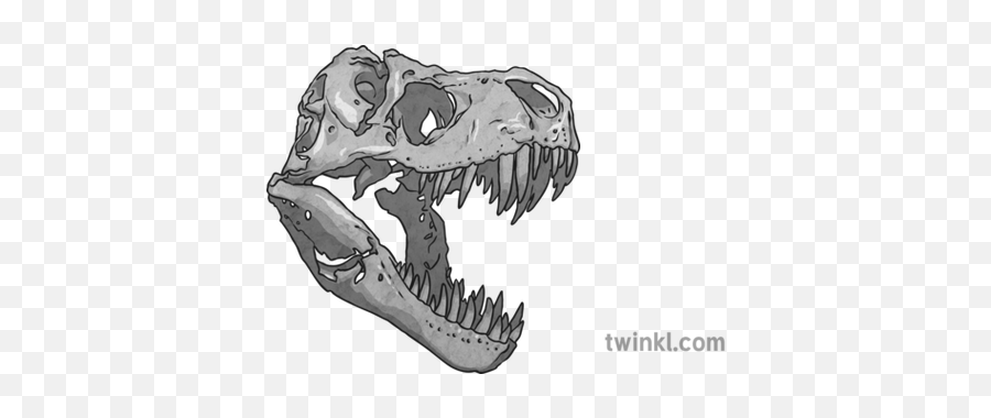 Replacement Fossil T Rex Skull Black - Craneo T Rex Png,Dinosaur Skull Png
