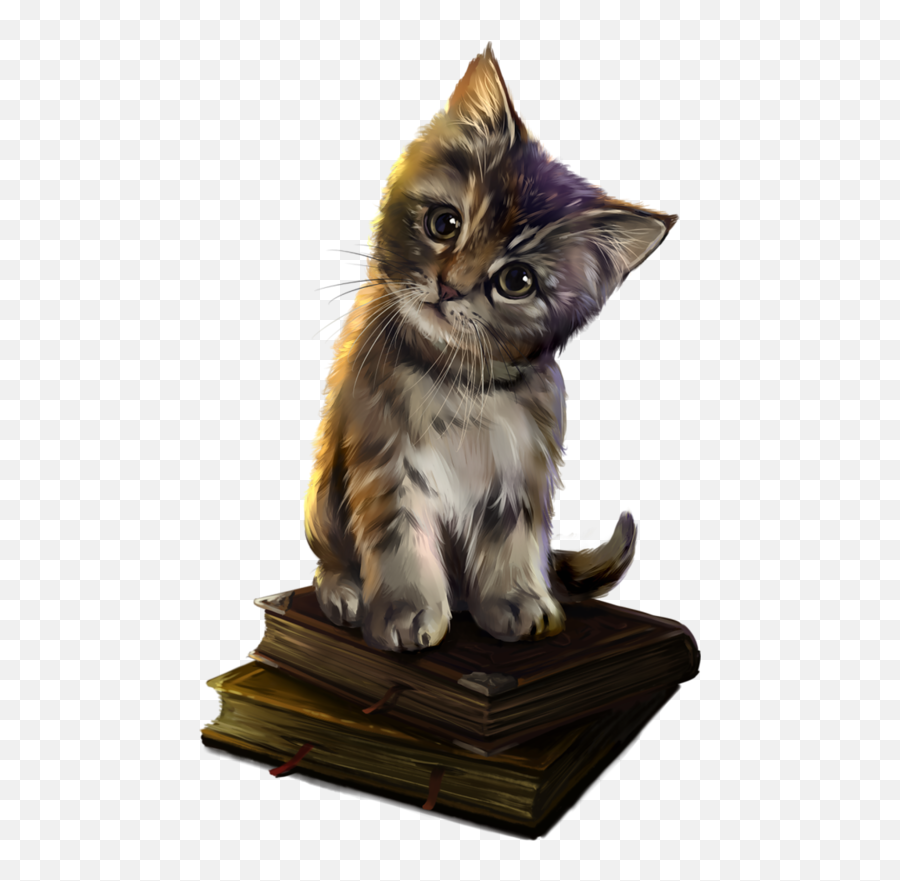 Download Free Medium Magic Savannah Academy Whiskers Cat - De Gatitos De Halloween Png,Jedi Academy Icon