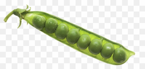 Pea Png Image Background Arts - Pea Pod,Peas Png