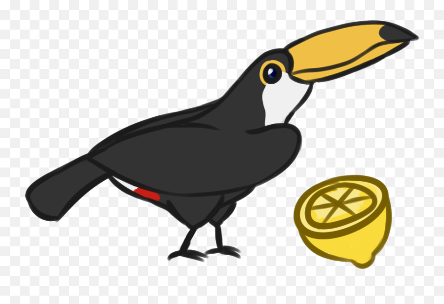 Jungle Clipart Toucan - Toucan Png Download Full Size Toco Toucan,Tucan Png