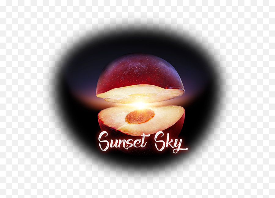 Metis - Traduccionessunset Edible Mushroom Png,Sunset Sky Png