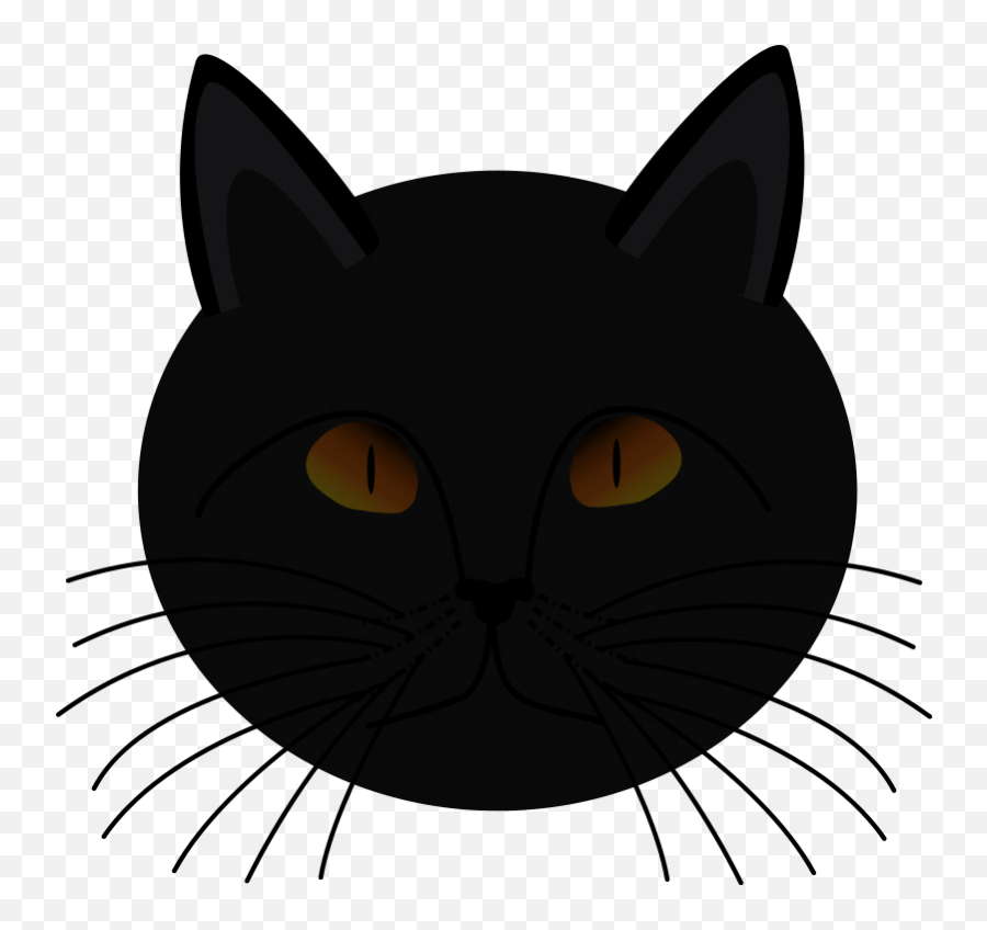 Reptile Eye Png Real Cat Eyes - Friday The 13th Are You Superstitious,Cat Eyes Png