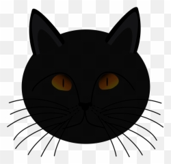 Reptile Eye Png Real Cat Eyes - Friday The 13th Are You Superstitious,Cat Eyes Png