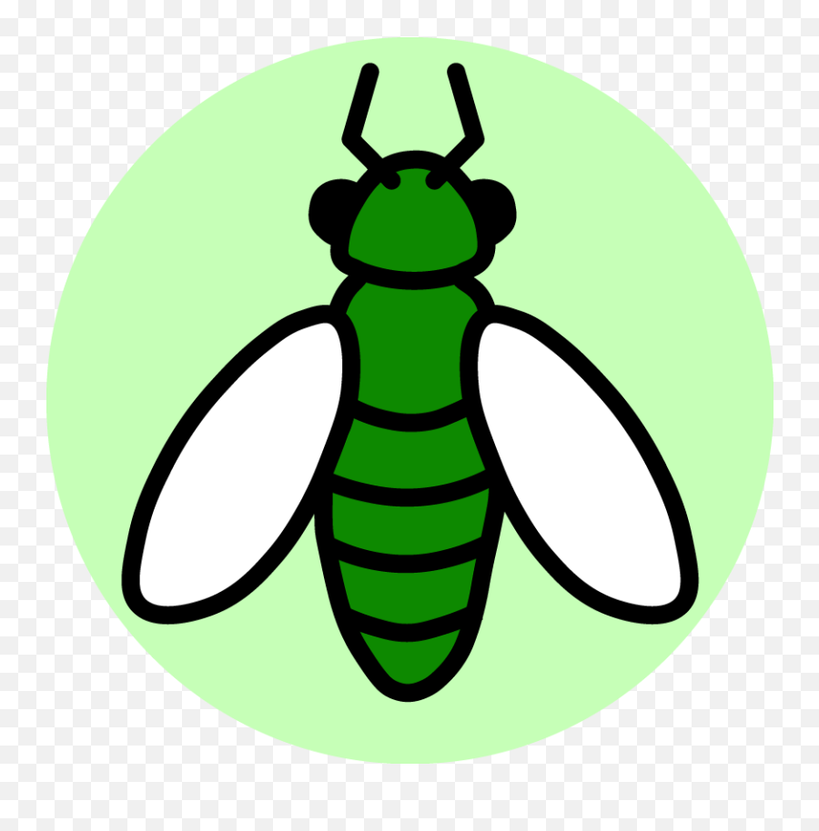 We Love Bugs - Insect Png,Insect Png