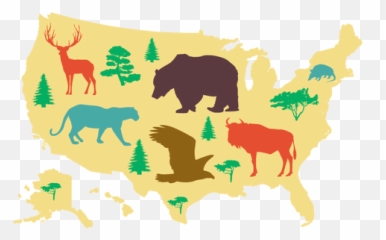 Transparent Png Svg Vector File - Us Prior To Brown Map,Usa Map Png