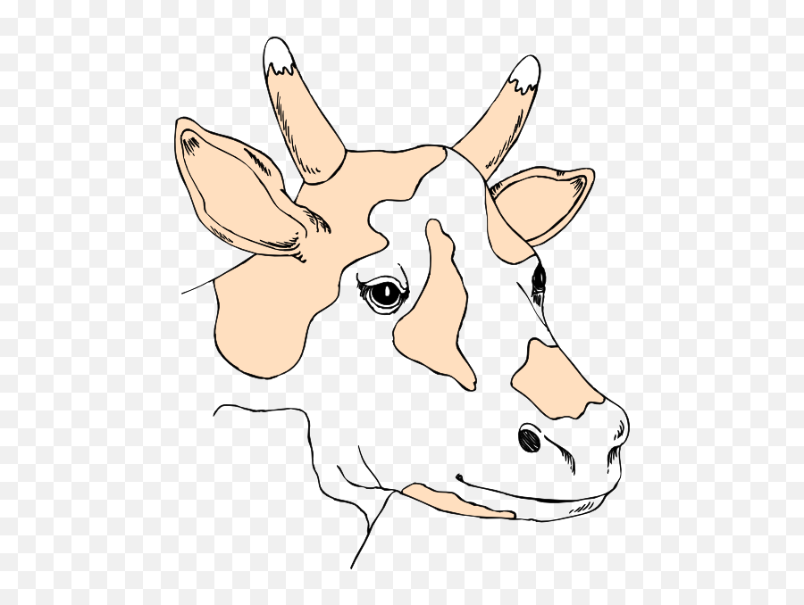 Light Colored Cow Head Clip Art - Vector Clip Clip Art Png,Cow Head Png