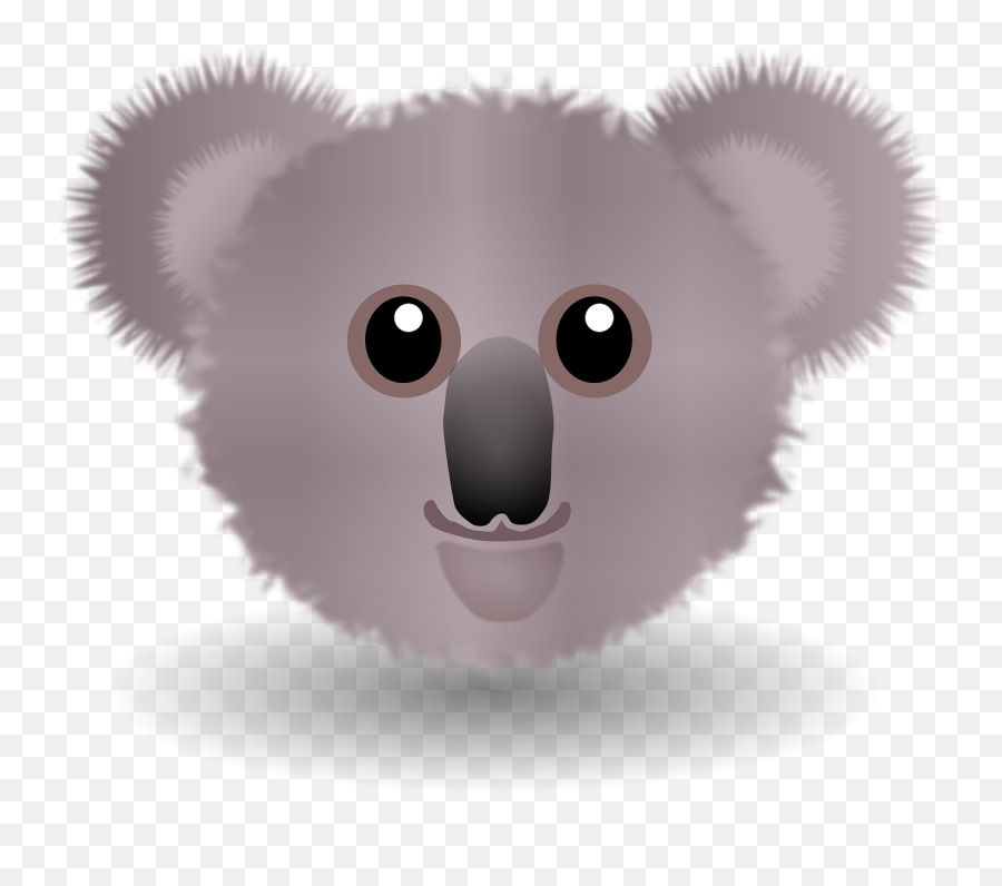 Download Free Png Australia Koala Bear - Fact For Kid Koala,Koala Bear Png