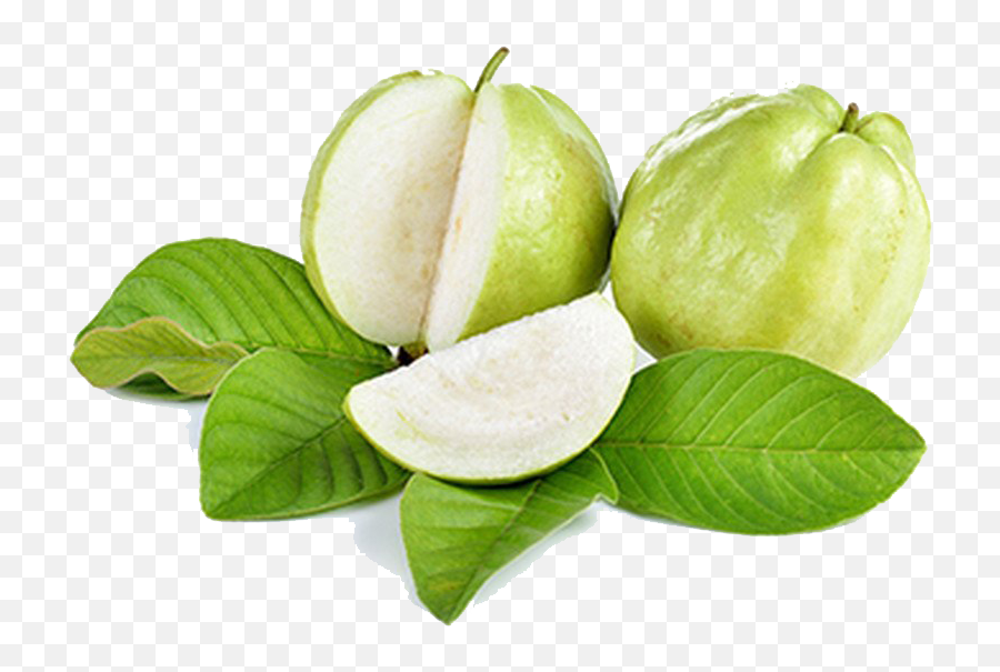 Guava Png Free Download - Green Guava,Guava Png