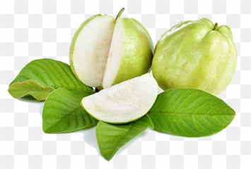 Guava Png Free Download - Green Guava,Guava Png