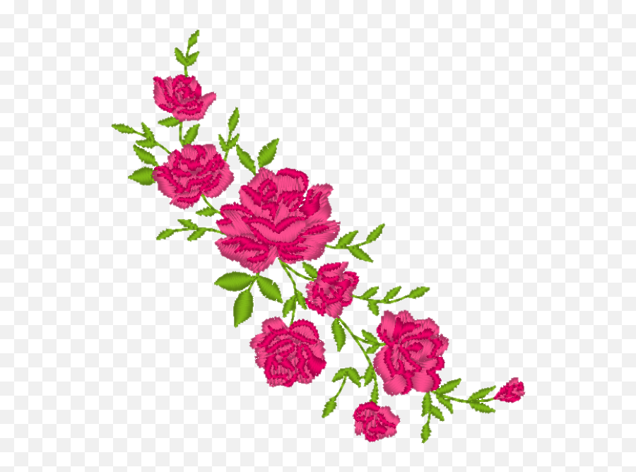 Download Hd Rose Vine Png - Garden Roses,Rose Vine Png