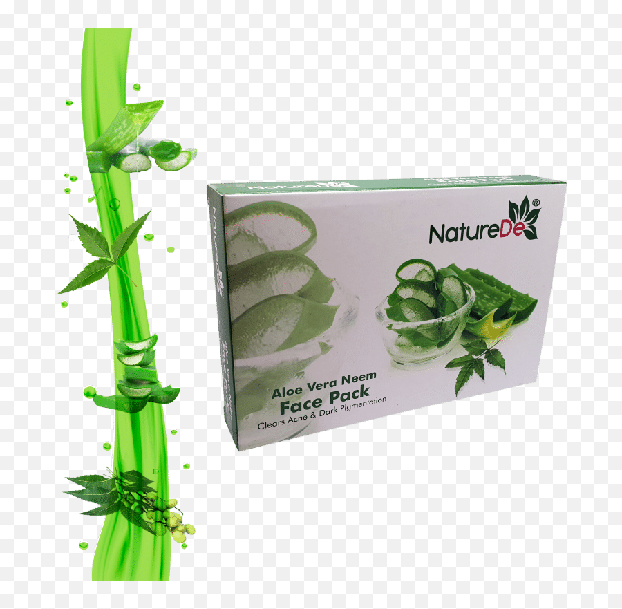 Aloe Vera Neem Face Pack - Aloe Vera Neem Png,Aloe Vera Png