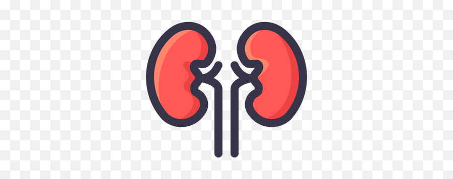 Kidney Icon Of Colored Outline Style - Kidney Icon Png,Kidney Png