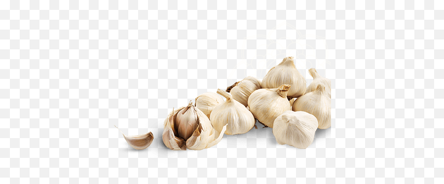 Garlic Png Transparent Image Svg - Garlic Cloves Transparent Background,Garlic Png