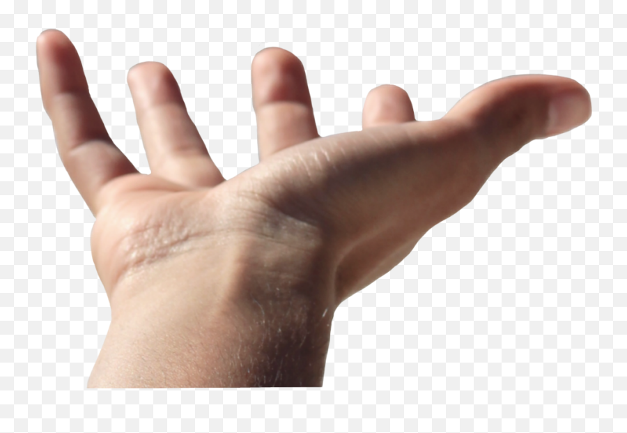 Open Hand Png - Human Open Hand Png,Open Hand Png