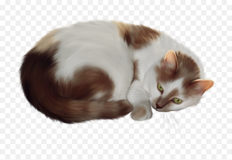 Download Transparent Cat Clipart - Cat Transparent Clip Art Png,Cat Clipart Transparent