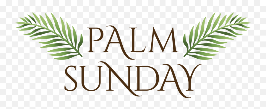 Bulletin For Palm Sunday March 25 - Poldark Transparent Poldark Png,Sunday Png