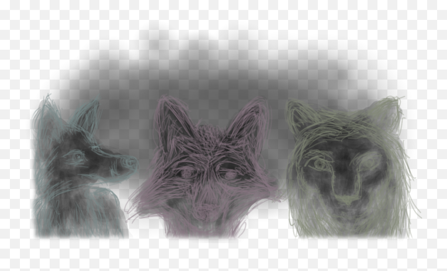 The World Needs More Furry Bloggers U2013 Dhole Moments - Silver Fox Png,Furry Png