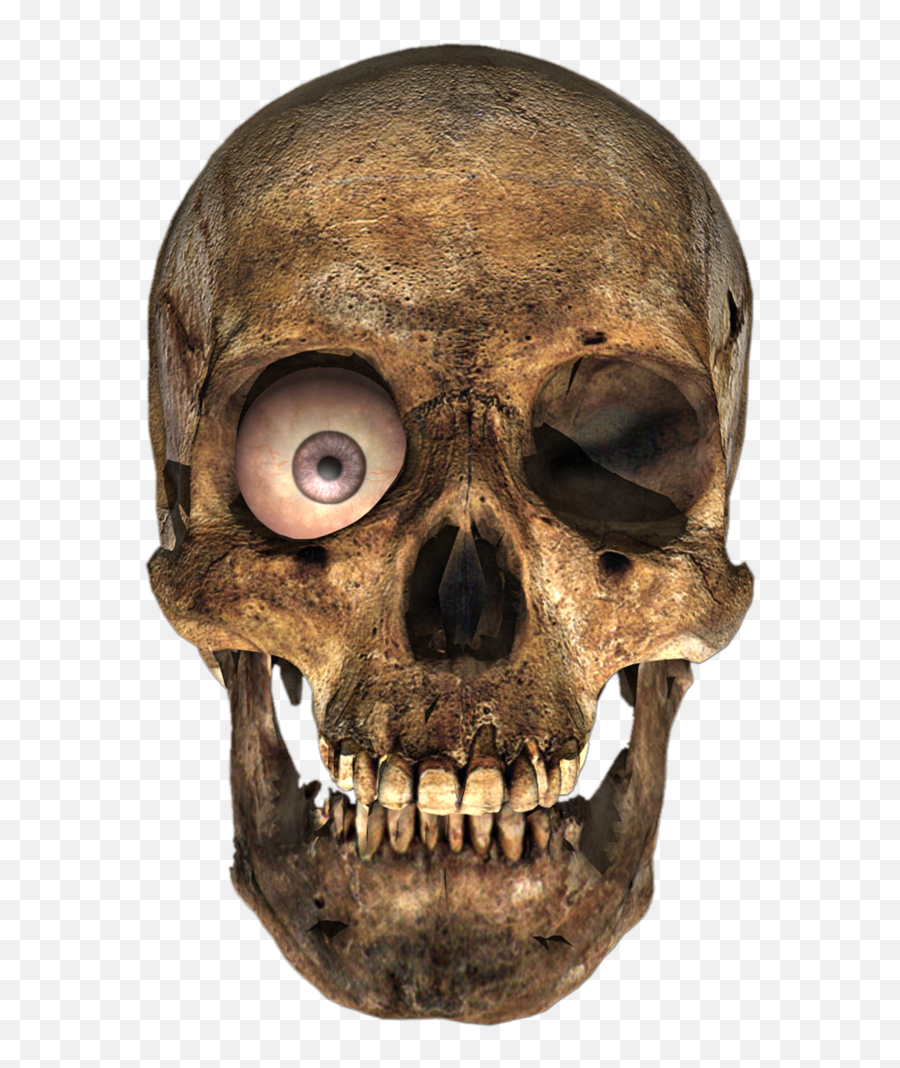 Skull Png Image - Skull 3d Render,Skulls Transparent