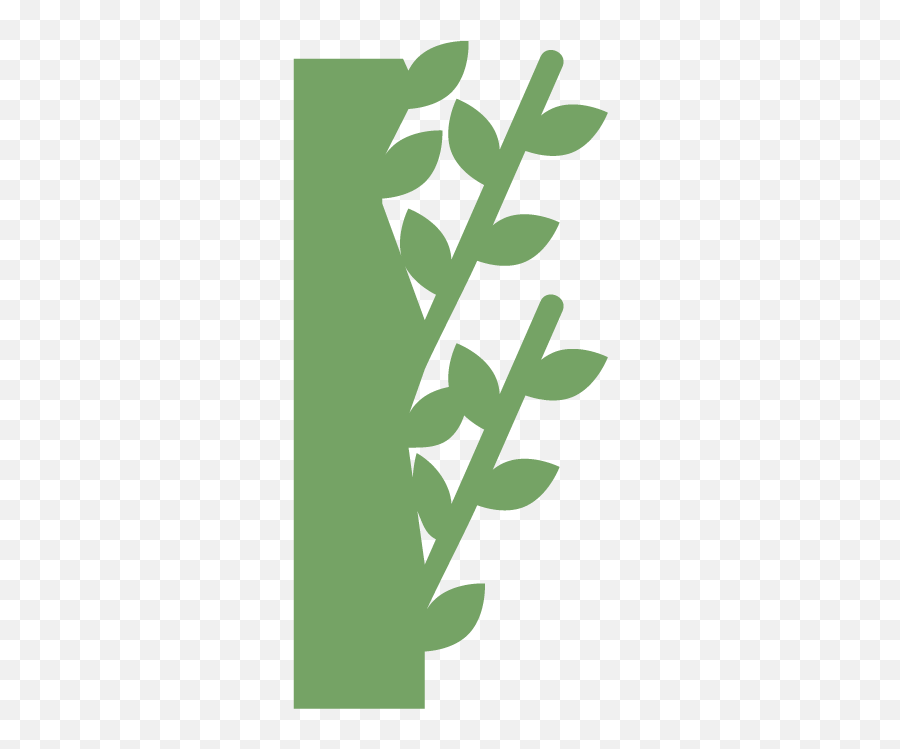Moss Wall Living Live Green Plant - Horizontal Png,Wall Vines Png