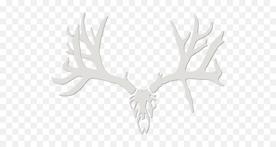 Whitaker Brothers Hunting - Under Armour Hunting Logo Black Png,Deer Hunting Logo