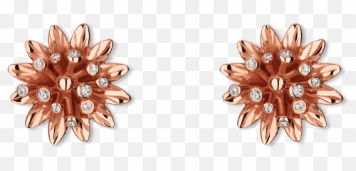 Parity Gucci Rose Gold Earrings Up - Decorative png
