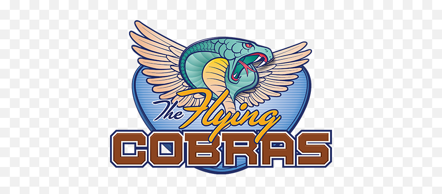 Backwards Roller Coaster The Flying Cobras Carowinds - Carowinds Roller Coaster Logos Png,Cobra Icon